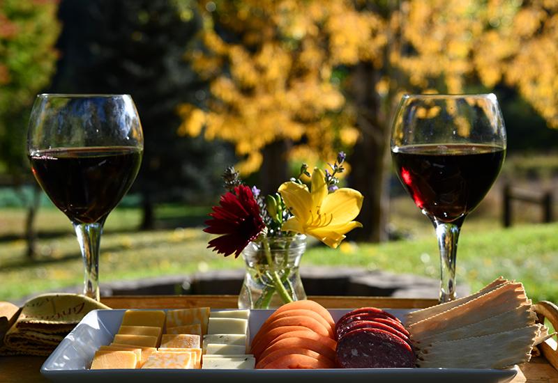 Bear Hollow Bed and Breakfast Idaho outside house viewbackyard serves wine and snack platters